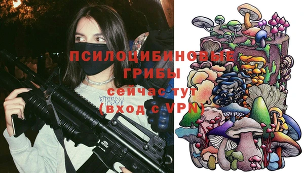 дживик Армянск