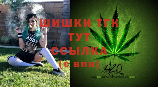 дживик Армянск