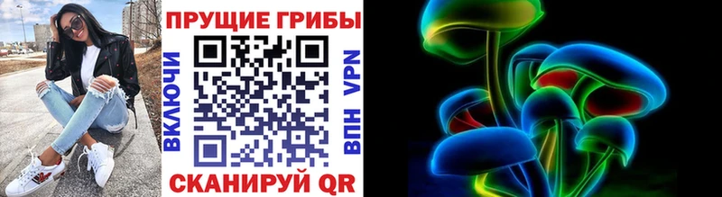 hydra ТОР  купить наркотик  Себеж  Псилоцибиновые грибы MAGIC MUSHROOMS 